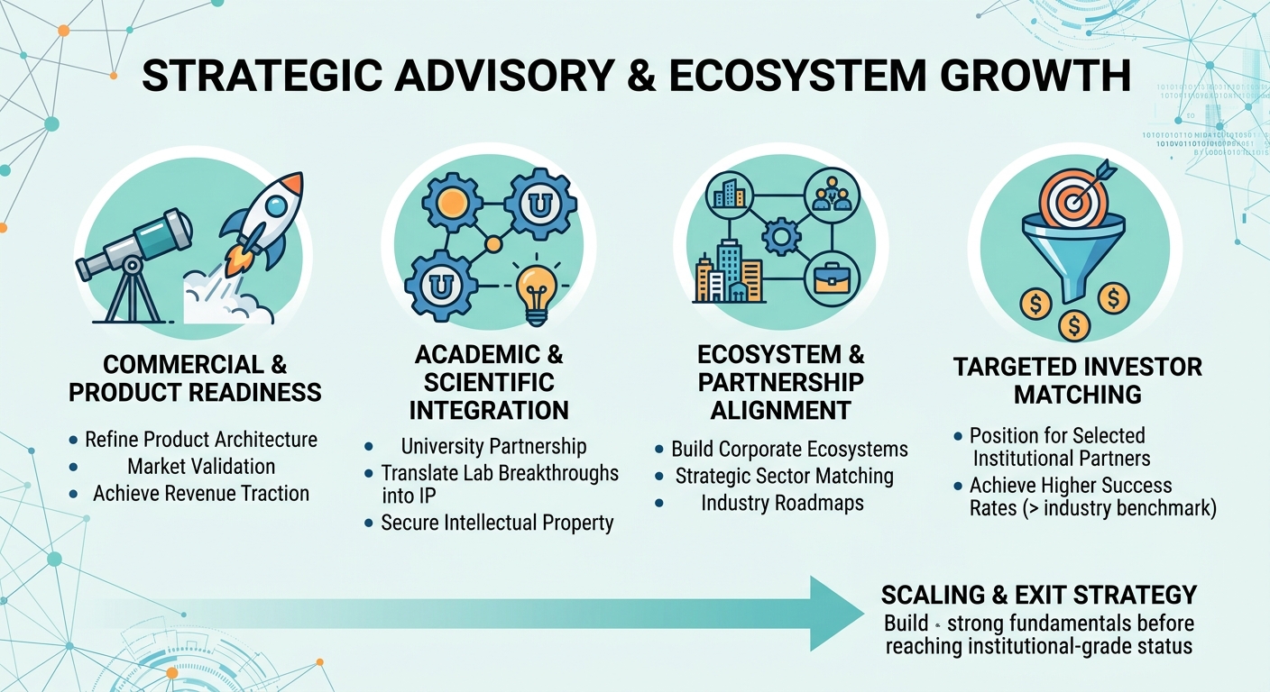 Strategic Advisory Beyond Traditional Venture Capital for Scale-Ups and Research Spin-Outs Mexico